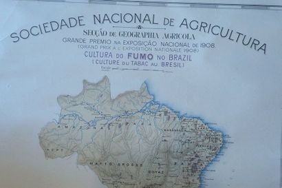 null BRESIL-CARTE D'AGRICULTURE DU BRESIL EN COULEURS - Sociedade Nacional de Agricultura,...