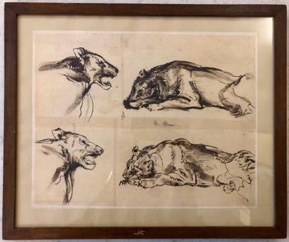 Alfred DEHODENCQ (Paris 1822-1882) Etude d'animaux sauvages 
Encre sépia sur quatre...