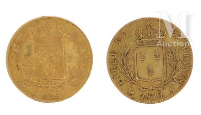 Deux pièces 20 FF or Deux pièces en or de 20 FF Louis XVIII 
1814 A et 1818 A