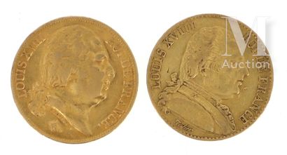 Deux pièces 20 FF or Deux pièces en or de 20 FF Louis XVIII 
1814 A et 1818 A