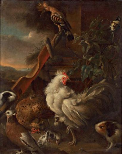 Attribué à Adriaen van OOLEN (1631 - 1694) Coq, cochon d'inde, faisan, poule Toile...