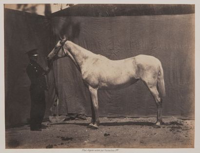 null Adrien TOURNACHON (1825-1903)

Suite de 30 photographies

Concours de races...