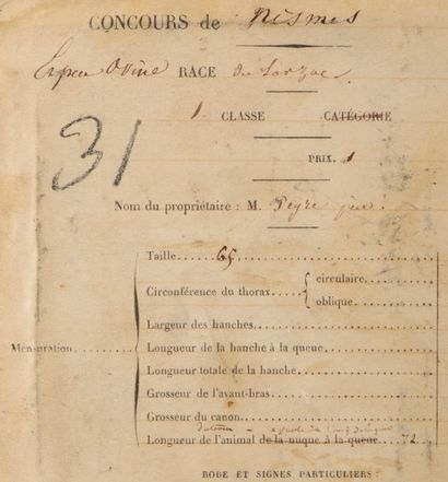 null Attribué à Louis-Auguste BISSON (1814-1876)

Concours de Nisme, Espèce ovine...