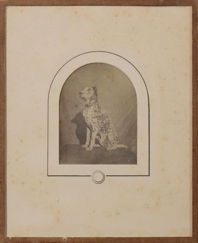 Louis-Auguste BISSON (1814-1876) 
Un chien,...