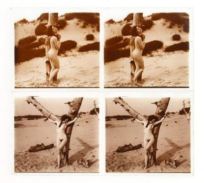 null Nus féminins 

Autour d’un arbre… c. 1920 

14 vues stéréo verre positive 6...