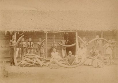 null Afrique

Marché d’ivoire, Transport par caravane du vapeur "Le Léon XIIIe",...