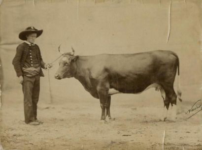 null NADAR jeune (Adrien Alban Nadar, dit) (1825-1903)

Concours agricole, race bovine,...