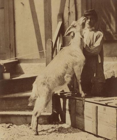 null Auteur non-identifié 

Jeune homme et sa chèvre, c. 1870 

Tirage albuminé monté...