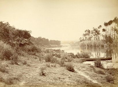null Achille QUINET (1831-1900) 

Études d'après nature : forêt de Fontainebleau,...