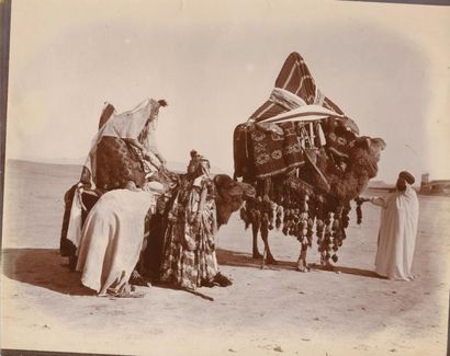 null Émile FRÉCHON (1848-1921)

Algérie, Biskra

Palmeraies, désert, fauconniers,...