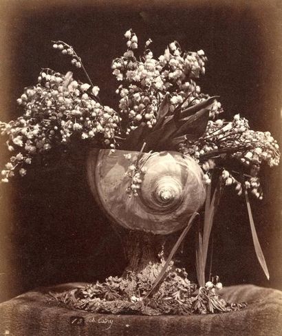Charles Hippolyte AUBRY (1811-1877) Etudes de fleurs et de fruits, compositions florales......
