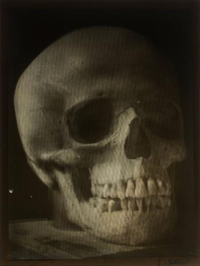 null Eugène ESTANAVE (1867-1937) 

Crâne humain, c. 1906-1935 

Photographie stéréoscopique...