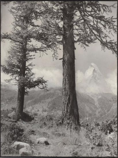  Antoine MAZEL (act.c.1880-c.1940) 
Montagne 
-"Au pied d'un sycomore…", région Griesalp,...