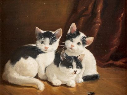  Carl REICHERT (1836 - 1918) 
Les chatons...