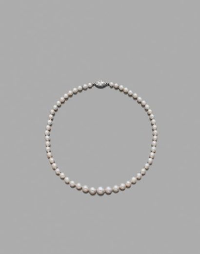  Collier de 53 perles fines ( et d’une perle de culture) en chute le fermoir en platine...