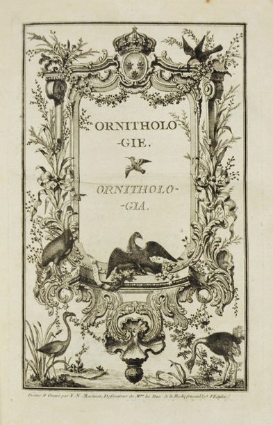 BRISSON (Mathurin Jacques). Ornithologie...
