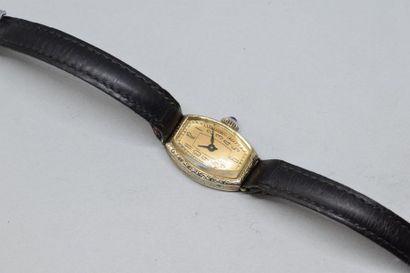 null Montre bracelet de dame, boîtier en or jaune 18k (750) cadran à fond cuivré,...