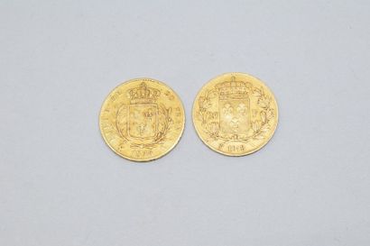 null Lot composé de 2 pièces en or de Louis XVIII tête nue et buste habillé (1818...