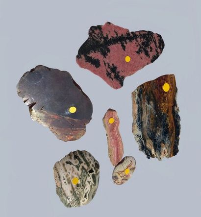 null Lot de six jolies tranches polies (5 à 15 cm) : rhodonite, jaspe, rhodochrosite......