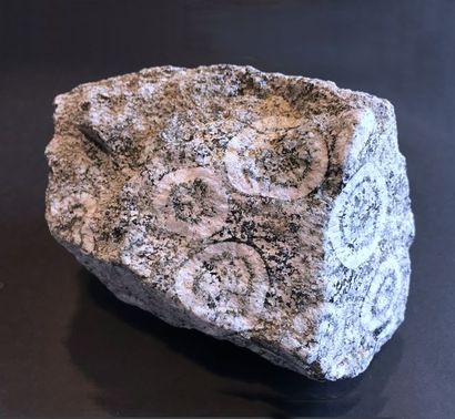 null Bloc de Diorite orbiculaire (12 cm, 1,430 kg) Corse