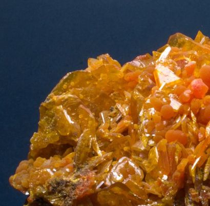 null Grande WULFENITE avec MIMETITE de la mine San Francisco, Sonora, Mexique : cristaux...