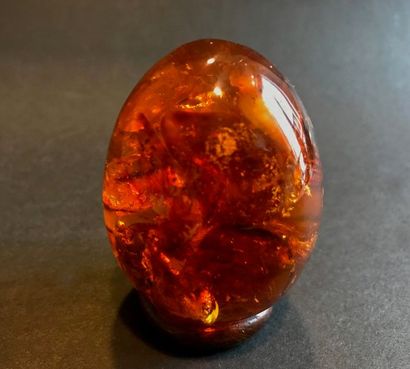 null Copal / ambre: œuf poli avec inclusions, jolis poli et couleur ambrée (6 cm...