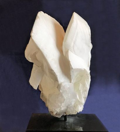 null Exceptionnelle grande CALCITE en ailes de papillon (29 x 34,5 cm), composée...