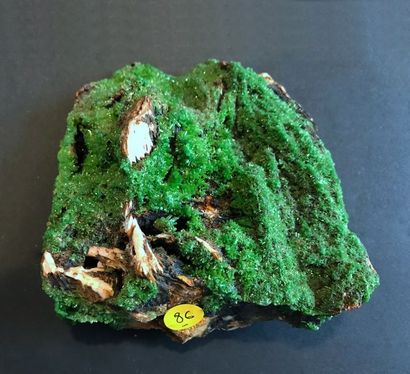 null Belle Pyromorphite verte, Les Farges, Corrèze, France (12 x 12 x 7 cm) : parterre...