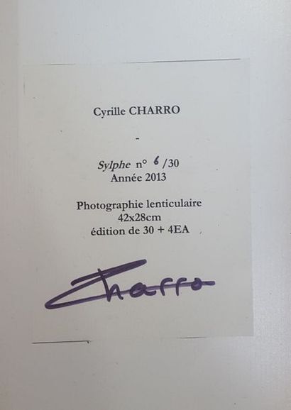 null CHARRO Cyrille (né en 1979)

Sylphe

Photographie Lenticulaire numérotée 6/...