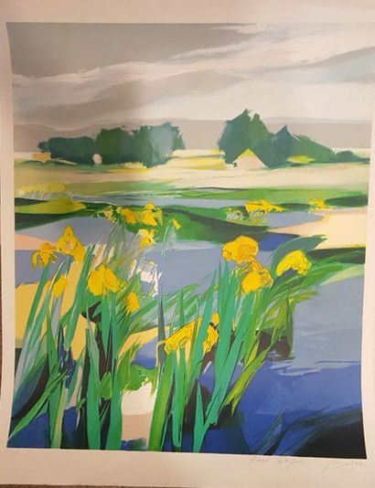 BRISSONI Jean (né en 1932) 
Iris au bord de l'eau - fleurs au cours d'eau 
Lithographie...