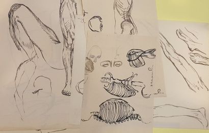 null STEINLEIN Théophile Alexandre (1859-1923)

Etudes d'anatomiques 

Cinq dessins...