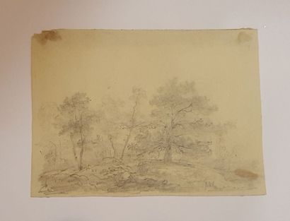 null VERNET Horace (1789-1863), attribué à

Arbres

Crayon sur papier, porte au dos...