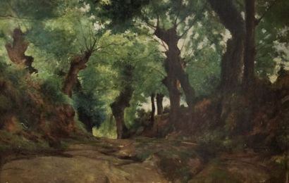 null ÉCOLE FRANÇAISE FIN XIXe siècle, 

Chemin creux en Bretagne, 

huile sur toile...