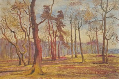 null HANRIOT Eugène (1880-?) 

Les arbres rouges 

Huile sur toile signée en bas...