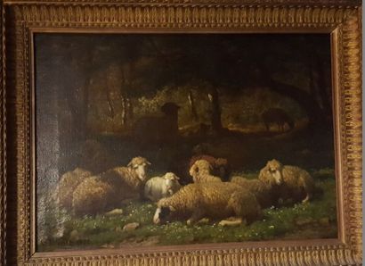 null WINTZ Guillaume (1823-1899), 

les moutons, 

huile sur toile, signée en bas...