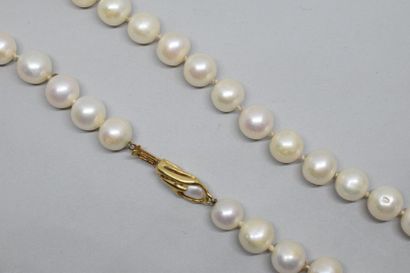 null Collier de perles de culture, fermoir en or jaune 18k (750) enserrant une perle...