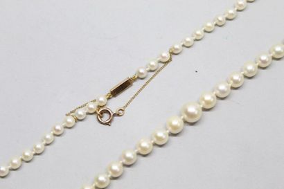 null Collier de perles de culture en chute, fermoir en or jaune 18k (750).

Longueur...