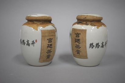 null Paire de pots à thé en porcelaine de Chine à décor de volatiles.

Chine XXème...