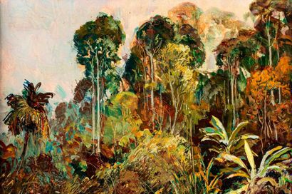 MÈGE Henri MÈGE Henri, 1904-1984

Forêt de Guyane

huile sur papier doublé sur carton,...