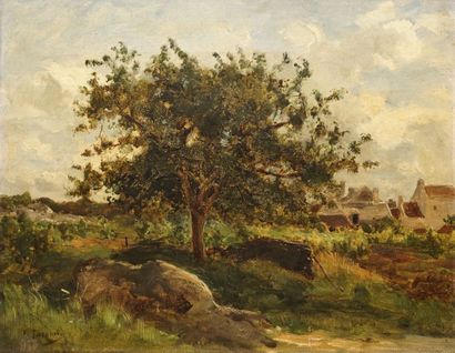 JACOMIN Ferdinand JACOMIN Ferdinand, 1843-1902

Champ à l'arbre

huile sur toile...