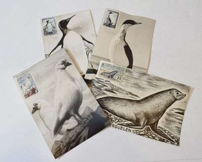 null [ Philatélie ] [ TAAF ]

Ensemble de quatre-vingt-huit cartes postales animalières...