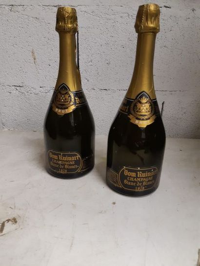 2	bouteilles 	CHAMPAGNE 	