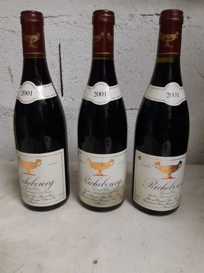 null 3	bouteilles 	RICHEBOURG, 		Domaine Gros F&S 	2001	 (elt) 	



