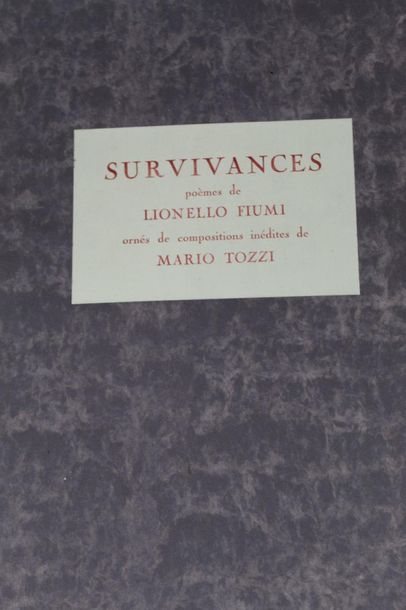 null FIUMI Lionello (1894-1973) & TOZZI Mario (1895-1979)

Survivors.

Decorated...