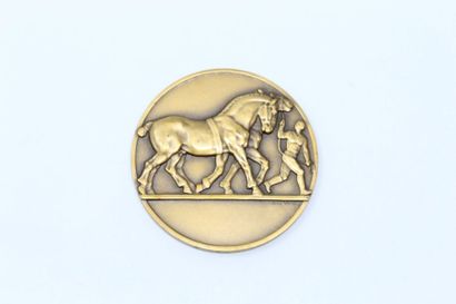 null Jean Vernon

Médaille uniface représentant un cavalier et son cheval.

Signé....