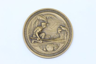 null Allan Wyon

Médaille en bronze commémorant le naturaliste James Hector.

Signé....