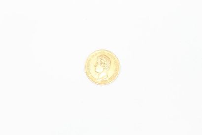 null Pièce en or de 20 lire Charles Albert (1832 P)

Poids brut : 6.45 g.