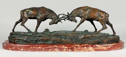 Alfredo PINA (1883 -1906) Combat de Cerfs Sculpture en bronze à patine brune signée...