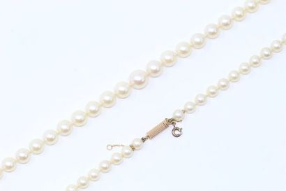 null Collier de perles de culture en chute, fermoir en or jaune 18k (750).

Long...