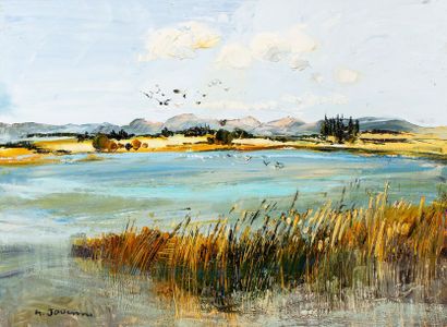 JOUENNE Michel JOUENNE Michel, né en 1933

Le lac bleu

huile sur toile

signée en...